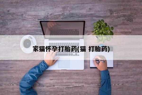 流产药叫什么名购买流程家猫怀孕打胎药(猫 打胎药)